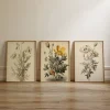 Botanical Classics Floral wall art prints