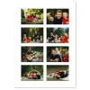 family picnic photo collage design