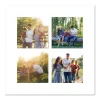 golden hour photo collage design