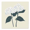 Hydrangea Grace Floral large wall art