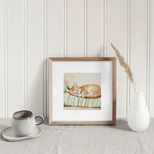 Dreaming Kitten Kids wall art prints