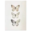 Gentle Wings Line large wall art