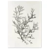 Whispering Branches Leaf large wall art