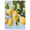 Lemon Grove Radiance Botanical large wall art
