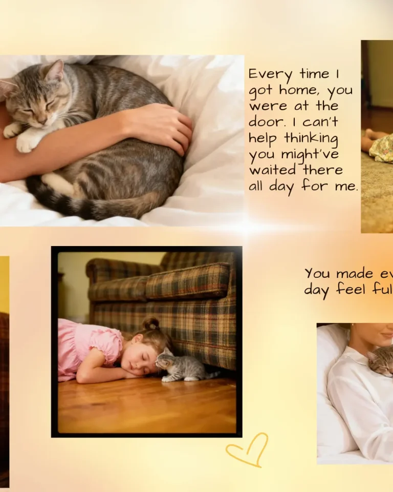 Woman cuddling her cat in a pet memorial gifts photo collage by VeeArt.