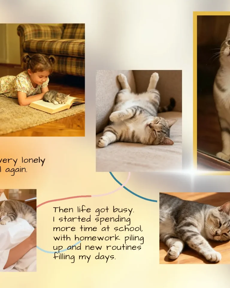 Child reading beside her kitten in a pet memorial gifts photo collage.