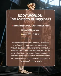 BODY WORLDS: The Anatomy of Happiness exhibition in Perth showcasing real human specimens — a powerful Perth must-see art and science show.