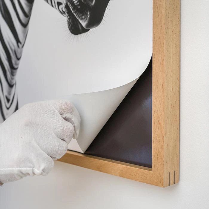 Artwork prints being swapped easily inside a wooden Magnetic Photo Frame.