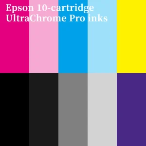 List of Epson T7700 series ink cartridges codes including Photo Black, Matte Black, and Violet for Giclée printing.