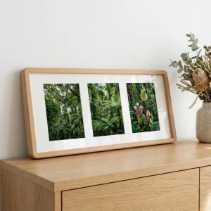 p2 trio 4x6 collage photo frame 3 photos