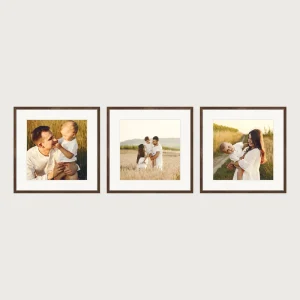 P1 triptych gallery wall frames 3 frames