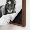 Ci 1a fs magnetic picture frames features f51w 01